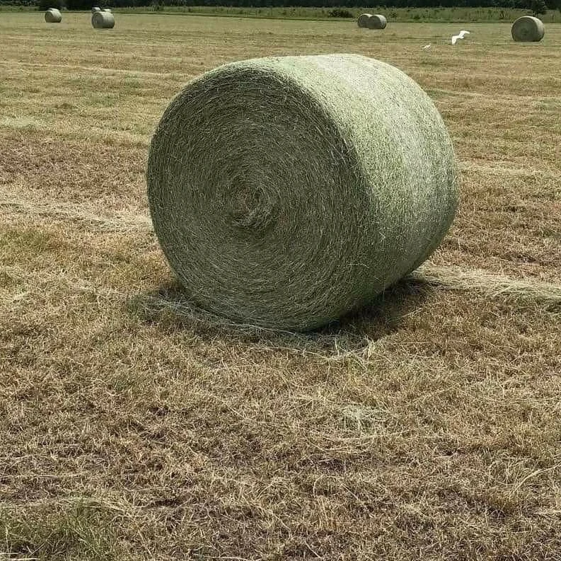 Agricultural hay production