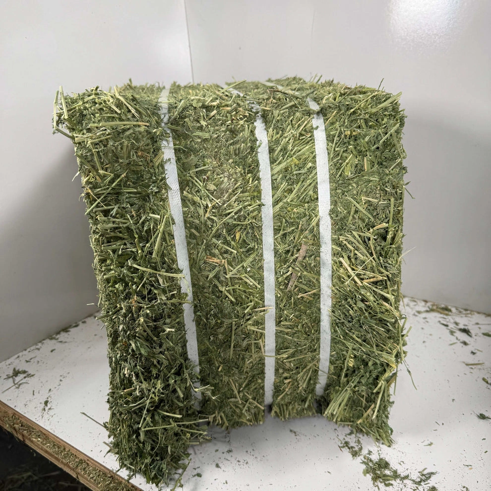 Premium Alfalfa Hay (1st & 2nd Cutting Ultra Premium)