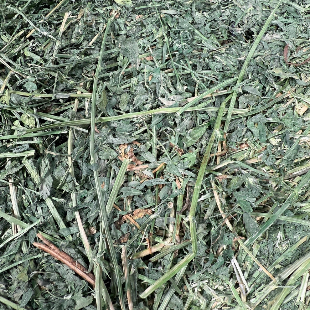 Premium Alfalfa Hay (1st & 2nd Cutting Ultra Premium) - Image 2