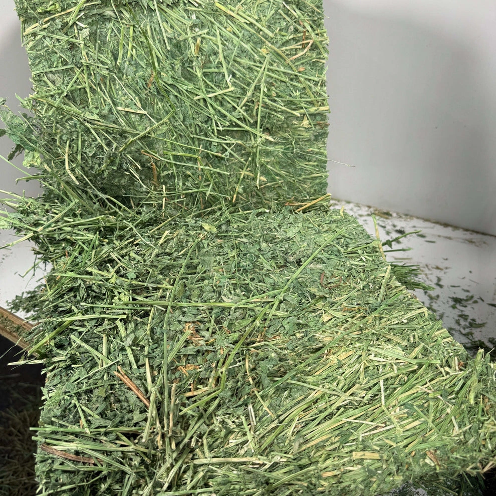 Premium Alfalfa Hay (1st & 2nd Cutting Ultra Premium) - Image 5