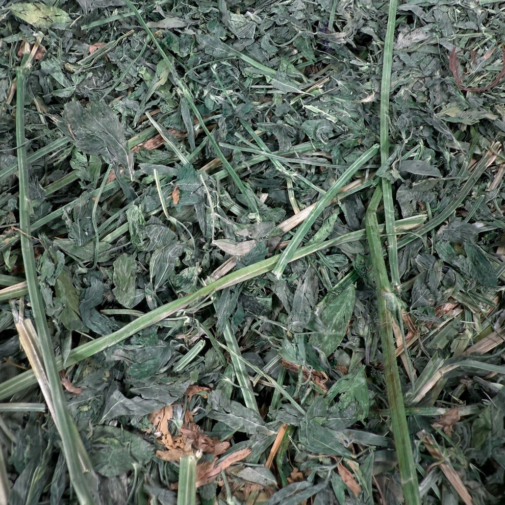 Premium Alfalfa Hay (1st & 2nd Cutting Ultra Premium) - Image 3