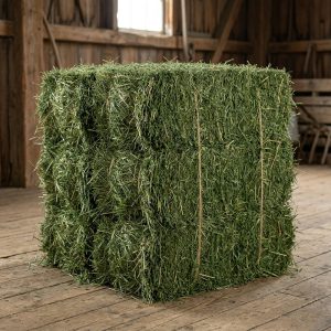 Premium Alfalfa-Timothy Hay(1st & 2nd Cutting Ultra Premium)