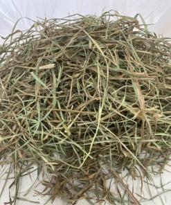 2025 2nd Cut Orchard Grass