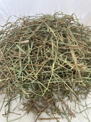 2025 2nd Cut Orchard Grass