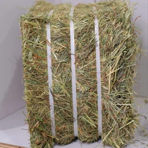 Timothy Orchard Grass Hay (1st & 2nd Cutting Ultra Premium)