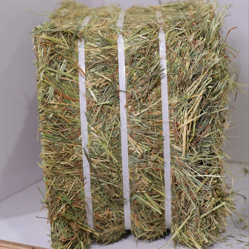 Timothy Orchard Grass Hay (1st & 2nd Cutting Ultra Premium)