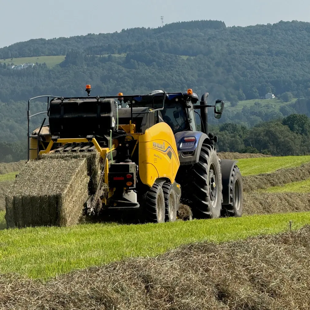 Hay field and agricultural landscape