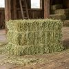 Premium Orchard Grass Hay(1st & 2nd Cutting Ultra Premium)
