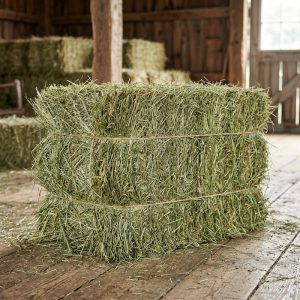 Premium Valley Grass Hay (1st & 2nd Cutting Ultra Premium)